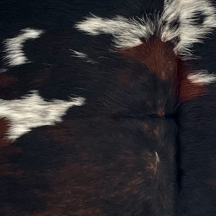 Closeup of this Colombian Dark Tricolor Cowhide, showing a mix of black and dark, reddish brown, and white spots that have black speckles and spots (COTR1595)