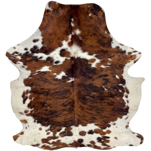 Colombian Tricolor Cowhide: has a reddish brown and black, brindle pattern, with white spots, white on the belly, and longer hair down the spine - 6'7" x 5'2" (COTR1596)