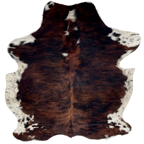 Colombian Tricolor Cowhide: has a dark reddish brown and black, brindle pattern with a few white spots down the middle of the shoulder, white, with black and brown speckles, on the belly, and long hair on the belly and down part of the spine - 6'6" x 5'4" (COTR1599)