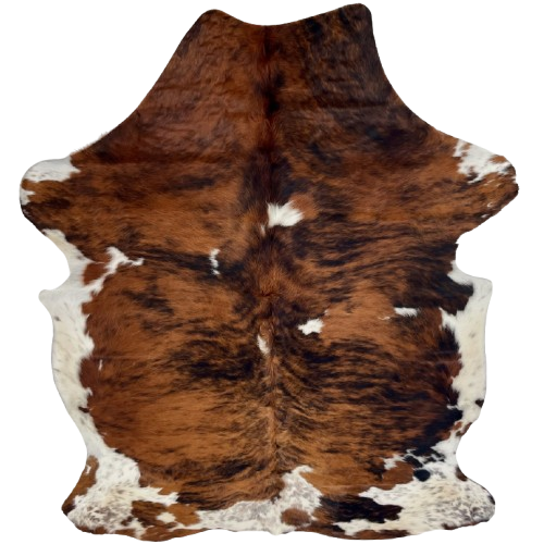 Colombian Tricolor Cowhide: has a red brown and black, brindle pattern, a few small, white spots, and white with black speckles on the belly, butt, and shanks - 7' x 5'2" (COTR1600)