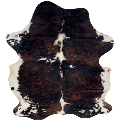 Colombian Dark Tricolor Cowhide: black with reddish brown spots, a few white spots on the back, and white on the belly and part of the shanks - 6'10" x 5'5" (COTR1602)