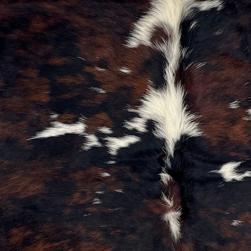 Closeup of this Colombian Dark Tricolor Cowhide, showing black with reddish brown spots, and a few white spots on the back (COTR1602)