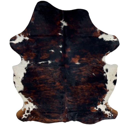 Colombian Dark Tricolor Cowhide: black with dark, red brown spots, a few small, white spots, and white on the belly and part of the shanks - 6'6" x 5'1" (COTR1603)