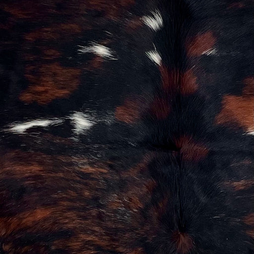 Closeup of this Colombian Dark Tricolor Cowhide, showing black with dark, red brown spots, and a few small, white spots  (COTR1603)