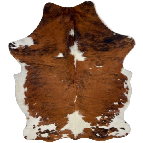 Colombian Tricolor Cowhide: reddish brown with black, brindle markings, a few large and small, white spots, and white on the belly and part of the shanks - 6'4"  x 4'10" (COTR1607)