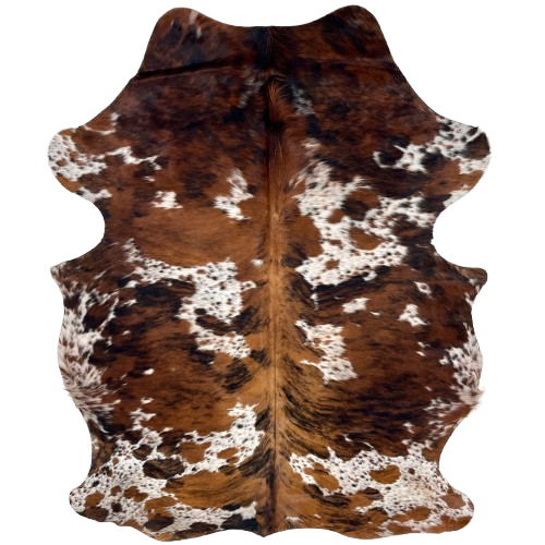 Colombian Speckled Tricolor Cowhide: white with brown and black speckles and spots, large and small spots that have a brown and black, brindle pattern, and longer hair on part of the spine and belly - 6'8" x 4'10" (COTR1610)