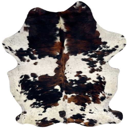 Colombian Tricolor Cowhide: white with black speckles and large and small, brown and black spots, and long hair down part of the spine - 6'10" x 5'3" (COTR1611)