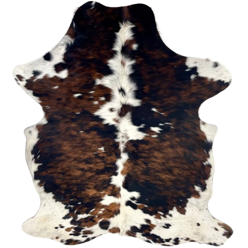 Colombian Tricolor Cowhide:  white with a mix of black and brown down both side of the back, small spots that have a mix of black and brown, and longer hair down the spine - 6'3" x 4'5" (COTR1612)
