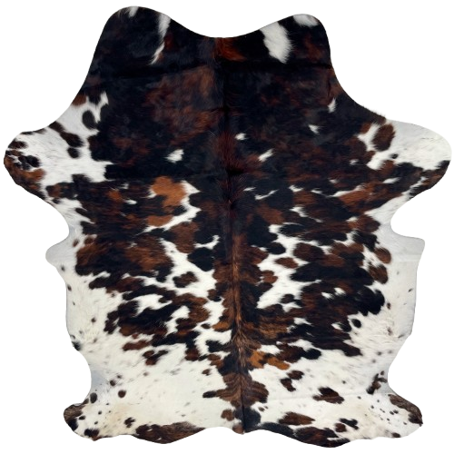 Colombian Tricolor Cowhide: white with large and small spots that have a mix of brown and black - 7'1" x 5'3" (COTR1614)