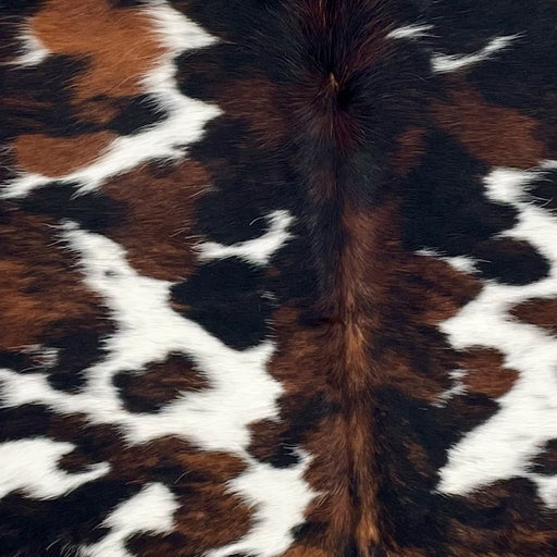 Closeup of this Colombian Tricolor Cowhide, showing white with large and small spots that have a mix of brown and black (COTR1614)
