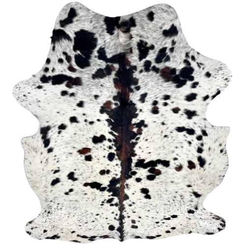 Large Colombian Speckled Tricolor Cowhide: white with black and brown speckles and spots, and longer hair down the spine and on the belly - 7'9" x 5'8" (COTR1616)