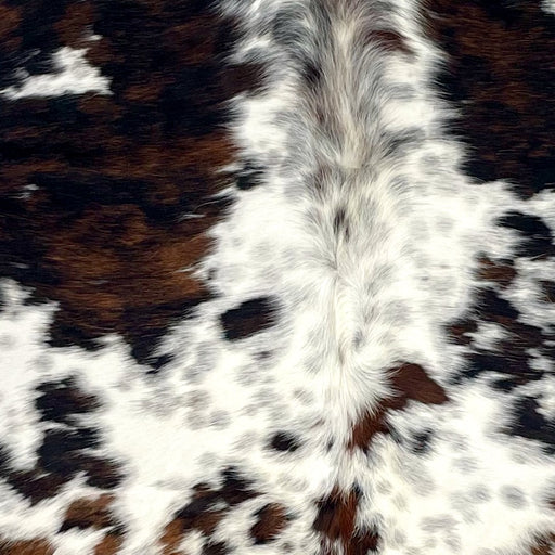 Closeup of this Large Cloudy Speckled Tricolor Colombian Cowhide, showing white with black, cloudy speckles, and large and small spots with a mix of black and brown  (COTR1619)