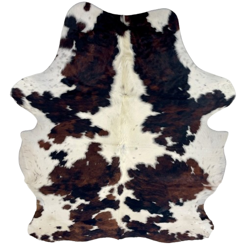 Colombian Tricolor Cowhide: white with large and small spots that have a black and brown, brindle pattern, and off-white down the spine - 7'5" x 5'6" (COTR1627)