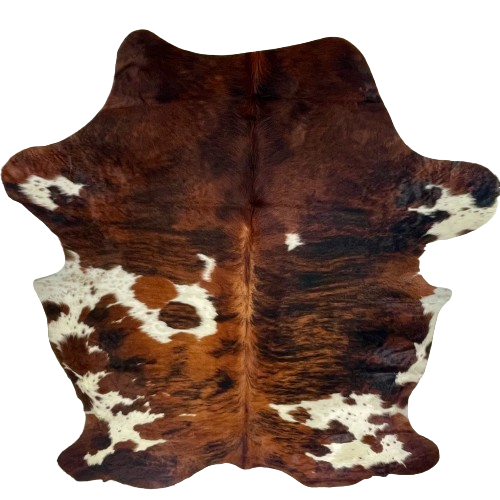 Large Colombian Tricolor Cowhide: has a reddish brown and black, brindle pattern and white spots with black and brown speckles - 7'11" x 6' (COTR1628)