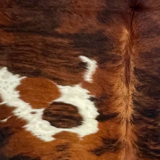 Closeup of this Large Colombian Tricolor Cowhide, showing a reddish brown and black, brindle pattern and white spots with black and brown speckles (COTR1628)