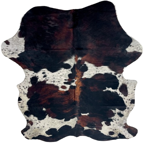 Colombian Speckled Tricolor Cowhide: white with black speckles and large and small spots with a black and red brown, brindle pattern - 7'2" x 5'5" (COTR1629)