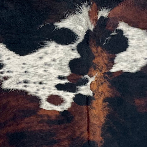 Closeup of this Colombian Speckled Tricolor Cowhide, showing white with black speckles and large and small spots with a black and red brown, brindle pattern (COTR1629)