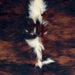 Closeup of this Colombian Tricolor Cowhide, showing a reddish brown and black, brindle pattern, white, long hair down part of the spine (COTR1630)