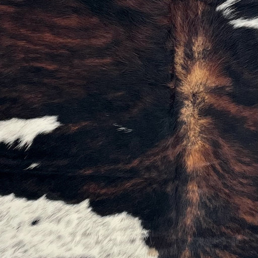 Closeup of this Large Colombian Tricolor Cowhide, showing a black and red brown, brindle pattern and white spots with black speckles (COTR1632)