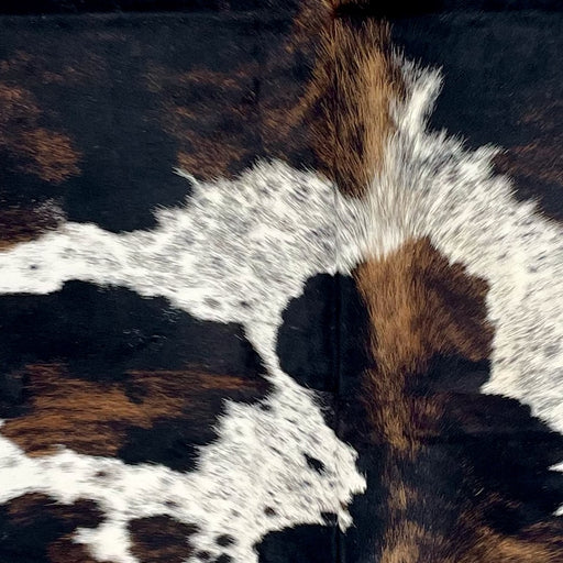 Closeup of this Colombian Speckled Tricolor Cowhide, showing white with black speckles and spots, and large and small spots that have a black and brown, brindle pattern  (COTR1638)