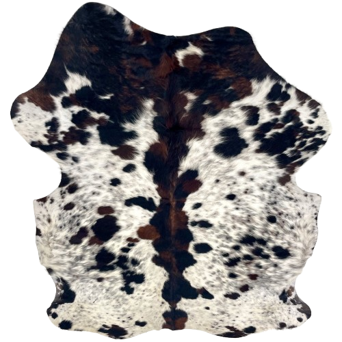Colombian Speckled Tricolor Cowhide: has long hair that is white with black speckles, and large and small, black and dark brown spots - 7'3" x 5'6" (COTR1641)