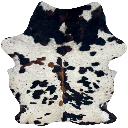 Colombian Speckled Tricolor Cowhide: white with black speckles and black and brown spots - 7'3' x 5'6" (COTR1643)