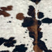 Closeup of this Colombian Speckled Tricolor Cowhide, showing white with black speckles and black and brown spots (COTR1643)