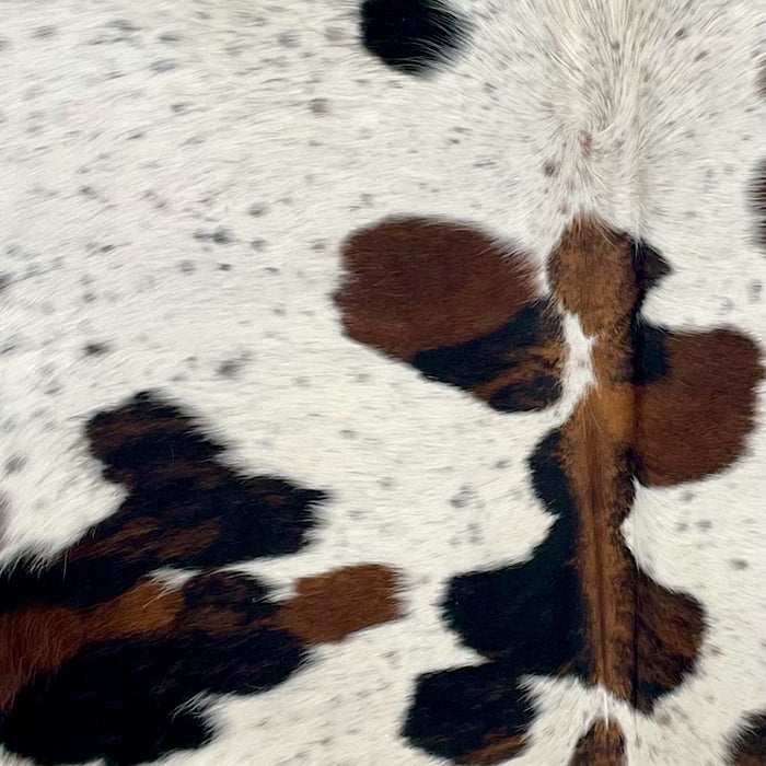 Closeup of this Colombian Speckled Tricolor Cowhide, showing white with black speckles and black and brown spots  (COTR1645)