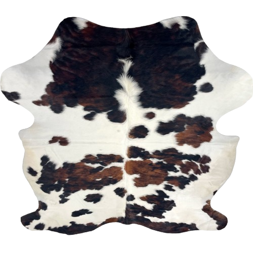 Colombian Tricolor Cowhide: white with large and small spots that have a mix of black and brown, off-white on the belly, and longer hair down part of the spine - 7'4" x 6'1"   (COTR1662)