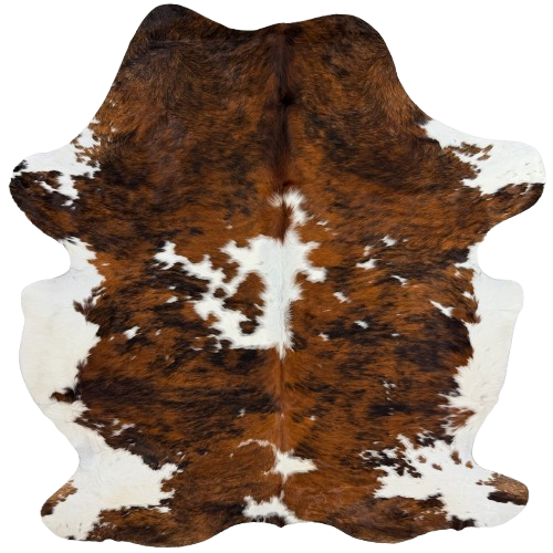 Large Colombian Tricolor Cowhide: white with large and small spots that have a black and brown brindle pattern, and longer hair down the spine and on the belly  - 7'7" x 5'11"  (COTR1666)