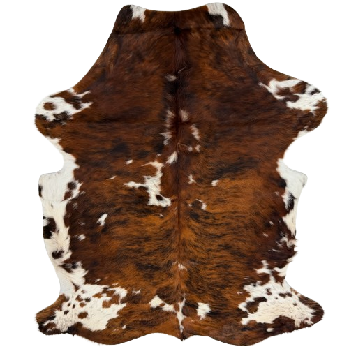 Colombian Tricolor Cowhide: has a reddish brown and black, brindle pattern, white spots that have black and brown speckles, and longer hair down the spine and on the belly - 7'2" x 5' (COTR1669)