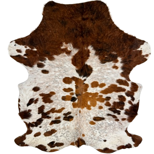 Colombian Speckled Tricolor Cowhide: white with reddish brown, golden brown, and black speckles and spots, and longer hair on the shoulder and belly - 7'5" x 5'6" (COTR1670)