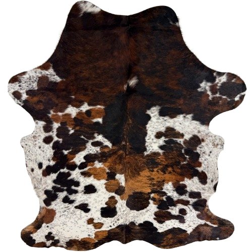 Colombian Speckled Tricolor Cowhide:  white with black speckles and large and small spots that have a mix of black and brown - 7'3" x 5'1"   (COTR1671)