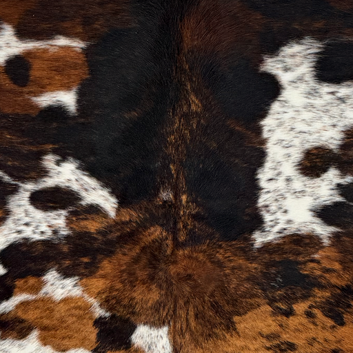 Closeup of this Colombian Speckled Tricolor Cowhide, showing white with black speckles and large and small spots that have a mix of black and brown    (COTR1671)