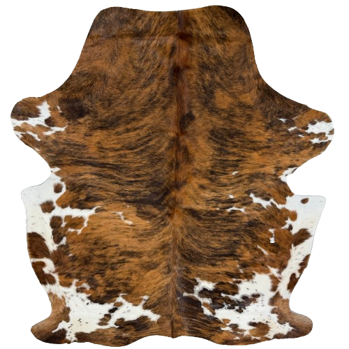 Large Colombian Tricolor Cowhide: white and spots with a brown and black, brindle pattern - 7'11" x 5'11"  (COTR1673)