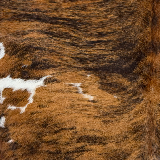 Closeup of this Large Colombian Tricolor Cowhide, showing white and spots with a brown and black, brindle pattern   (COTR1673)