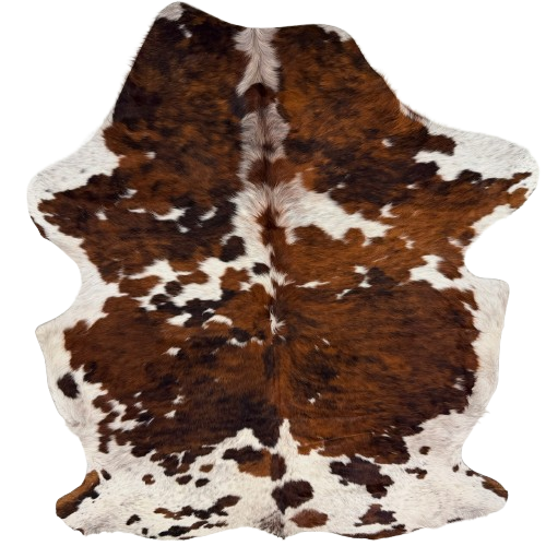 Large Colombian Speckled Tricolor Cowhide: white with black speckles, large and small spots with a reddish brown and black, brindle, and longer hair down the middle of the shoulder and on the belly - 7'6" x 5'9"COTR1674)