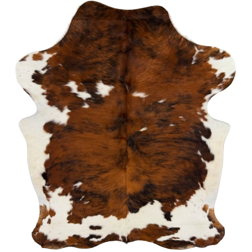 Colombian Tricolor Cowhide: white and large and small spots with a mix of reddish brown and black - 6'4" x 4'9" (COTR1676)