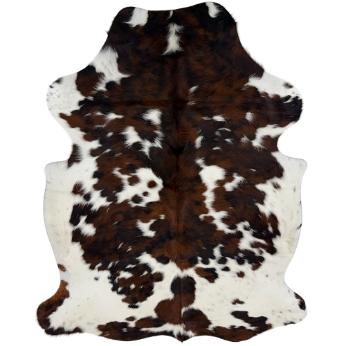 Colombian Tricolor Cowhide: white with spots that have a mix of dark brown and black, and longer hair down the spine and on the belly - 6'4" x 4'6"  (COTR1677)