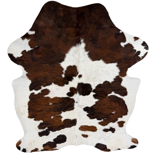Large Colombian Tricolor Cowhide: white with black speckles, and spots that have a mix of brown and black - 7'7" x 5'6" (COTR1678)