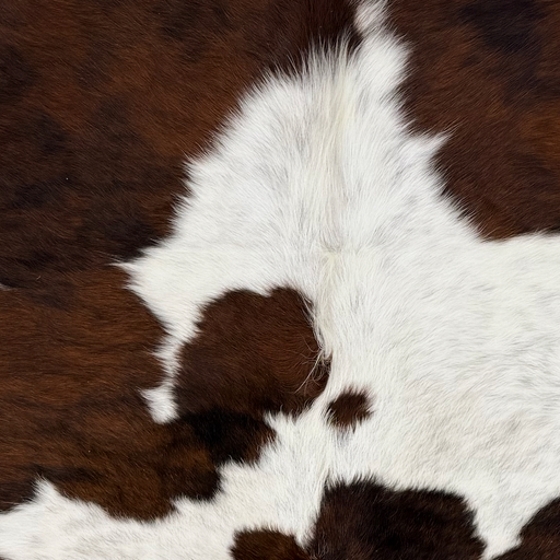 Closeup of this Large Colombian Tricolor Cowhide, showing white with black speckles, and spots that have a mix of brown and black (COTR1678)