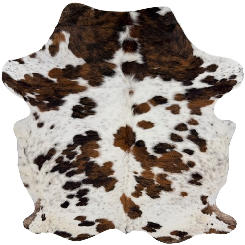 Colombian Speckled Tricolor Cowhide:  white with black speckles, brown and black spots, and longer hair down the spine and on the belly - 6'8" x 5'7" (COTR1679)
