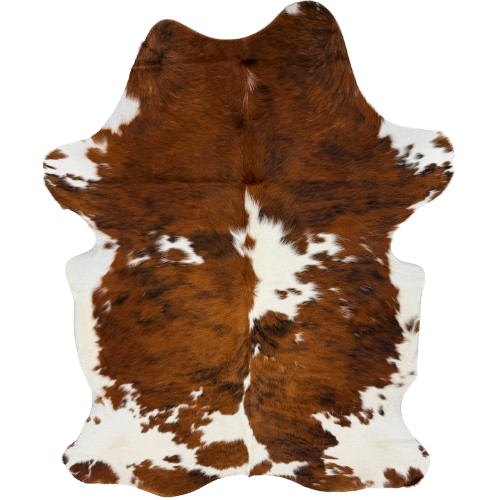 Colombian Tricolor Cowhide: white with spots that have a reddish brown and black, brindle pattern - 6'11" x 4'8"  (COTR1681)