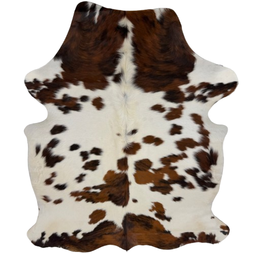 Colombian Tricolor Cowhide: white with spots that are brown and black, and off-white longer hair down the middle of the shoulder - 6'6" x 4'8"(COTR1682)