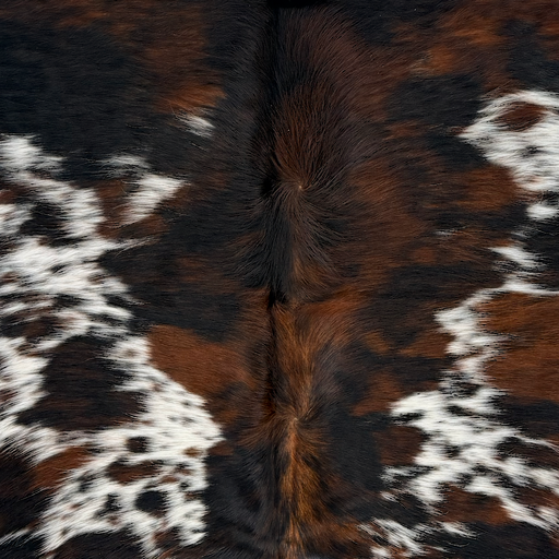 Closeup of this Colombian Speckled Tricolor Cowhide, showing white with black and reddish brown speckles and spots (COTR1684)