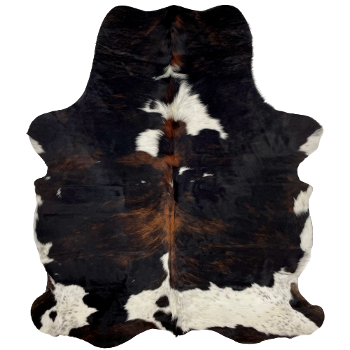 Colombian Tricolor Cowhide:  has a black and reddish brown, brindle pattern, with a few white spots on the shoulder, and white with black speckles on part of the belly, hind shanks, and across part the the lower edge - 7'1" x 5'4" (COTR841)