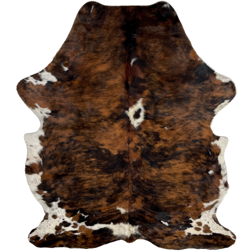 Colombian Tricolor Cowhide:  has a reddish brown and black, brindle pattern, with a few white spots, and white with brown and black spots and speckles on the belly and shanks - 6'10" x 4'10" (COTR855)