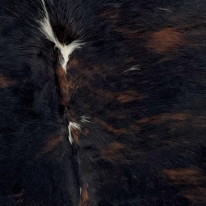 Closeup of this Colombian, Dark Tricolor Cowhide, showing a mix of black and reddish brown, with a few small, white spots down the spine (COTR861)