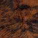 Closeup of this Colombian, Tricolor Cowhide, showing a reddish brown and black, brindle pattern (COTR874)
