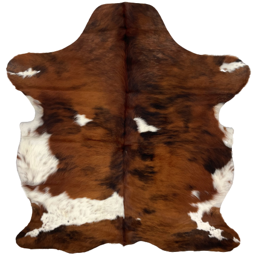 Colombian Tricolor Cowhide:  has a mix of brown and black, a couple small, wite spots on the back, a large white spot with brown speckles across the lower part of the left side, and white with brown speckles on the belly - 6' x 4'5" (COTR880)